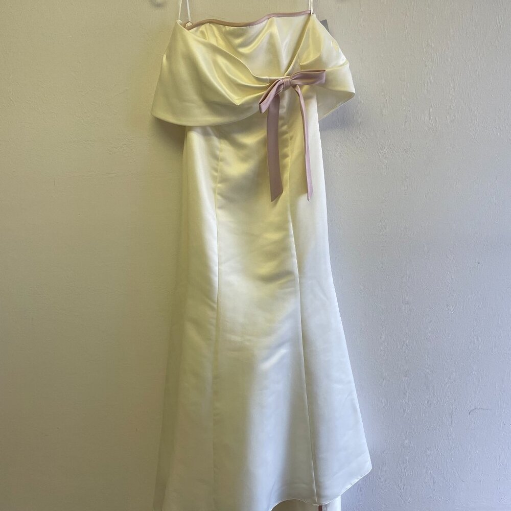 NWT Jessica McClintock 2 Tone Bridal Gown Size 4 Ivory/Mauve